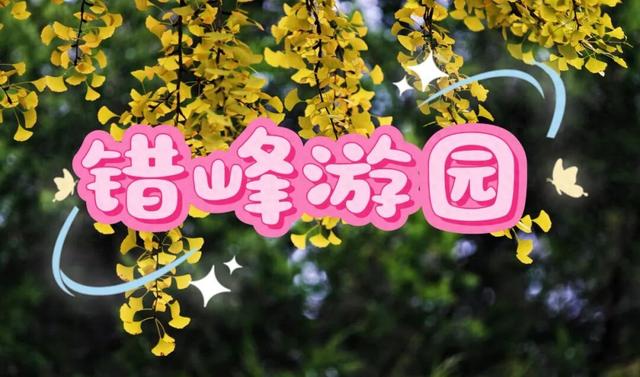 地坛银杏已进入最佳观赏期！地坛公园温馨提示：错峰游园