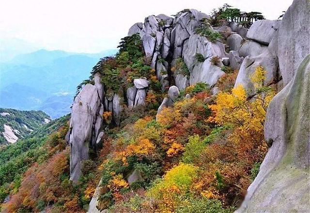 🍁天柱山红叶观赏终极指南——秋日限定，邂逅醉美“枫”情