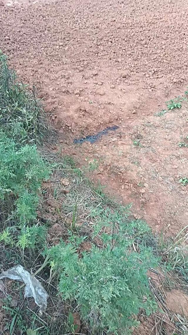农民工在南昌一工地附近上厕所时遭气枪击中身亡！尸检推断刚蹲下就出事了，肇事者被刑拘