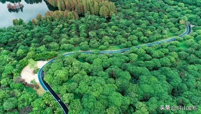 骑遇坪山① | 宝藏“高颜值”骑行线，拍出森系大片刷爆朋友圈