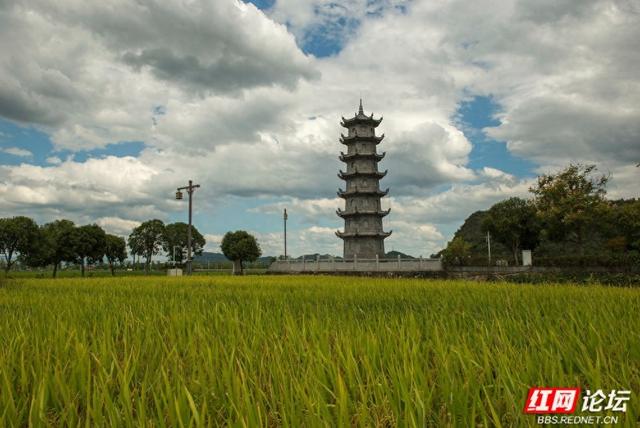岁暖时刻丨寻访"爱莲说"的诞生地：秋色浸染的道县楼田村