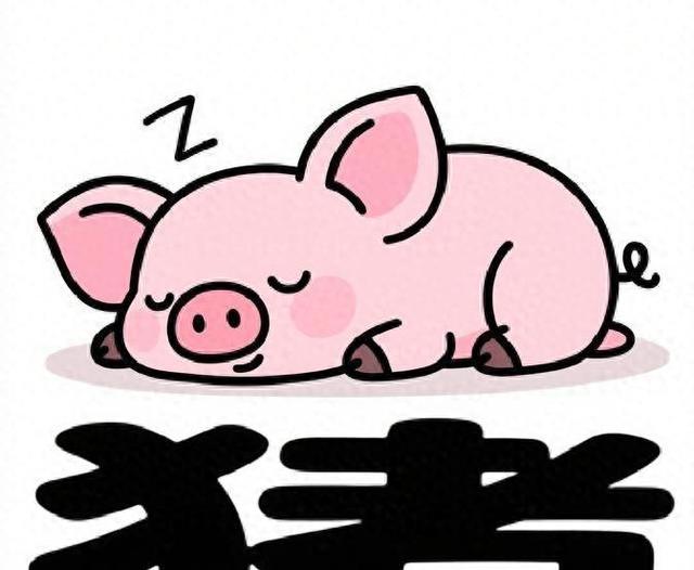 11月22日至29日，周六，生肖猪，会有事发生！