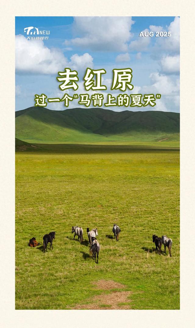跟着赛事游四川丨去红原，过一个“马背上的夏天”