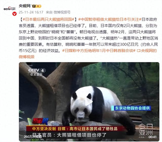 中国暂停租借大熊猫给日本，最后2只大熊猫“晓晓	”“蕾蕾”将回国	，到那时日本全国都将没有大熊猫了