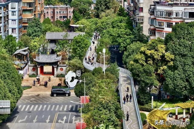 翠湖城市绿道：走在空中，看见历史