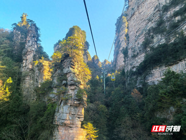 杨家界秘境登顶徒步圈 “雄奇险幽”引背包客竞逐