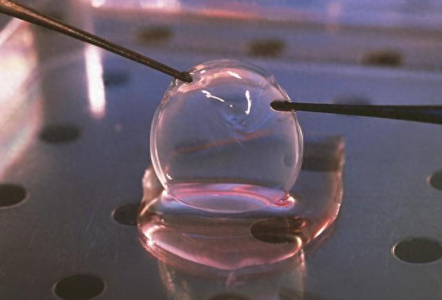 细胞繁衍小游戏攻略（常见的细胞生物实验细胞克隆）