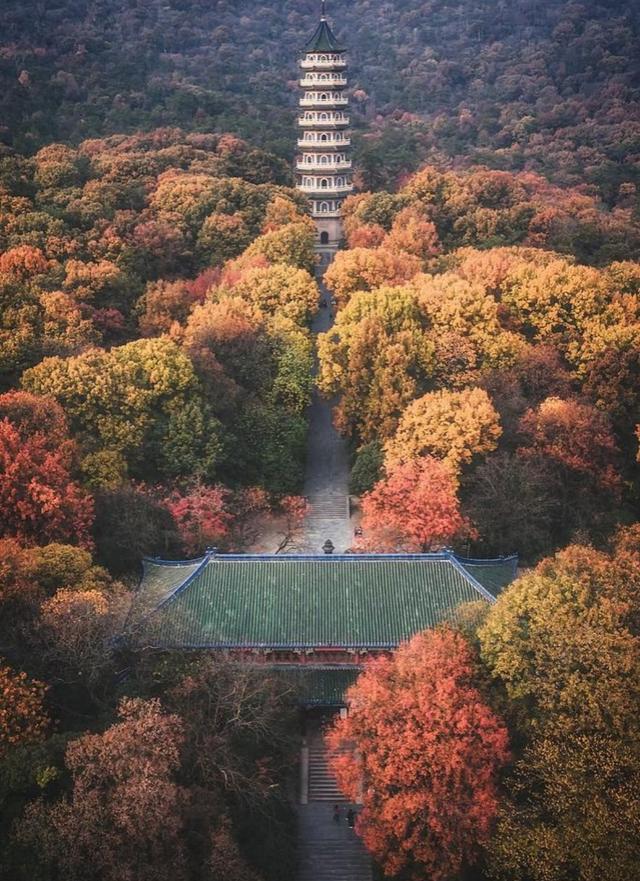 我是上海人，逛灵谷寺登松风阁，赏紫金山景还见百年老银杏树