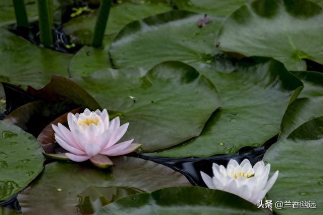 两性关系：为什么65岁后，女人比男人更希望这些，你真的懂吗