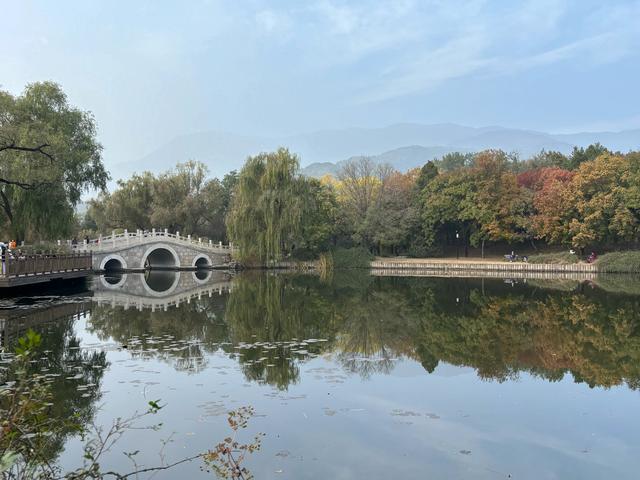 国家植物园赏秋