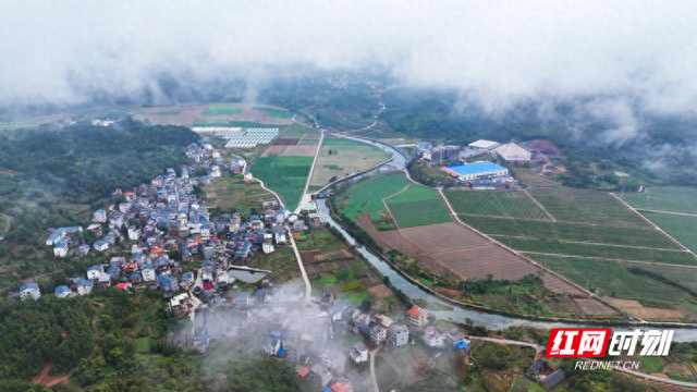 湖南新田：云雾缭绕乡村美如仙境（组图）
