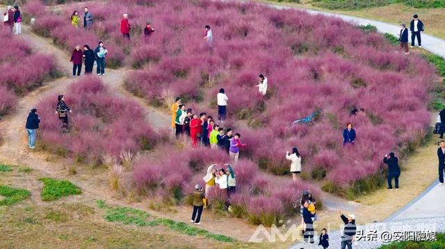 随手一拍都是大片！安阳深秋限定美景已上线→
