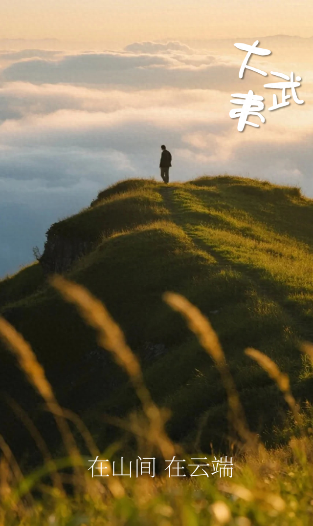 藏在大武夷的“云端大片”！绝美观云点+攻略，收藏出发！