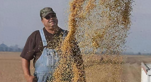 巴西大豆坐地起价，中国不接招停购反制，后悔也晚了！