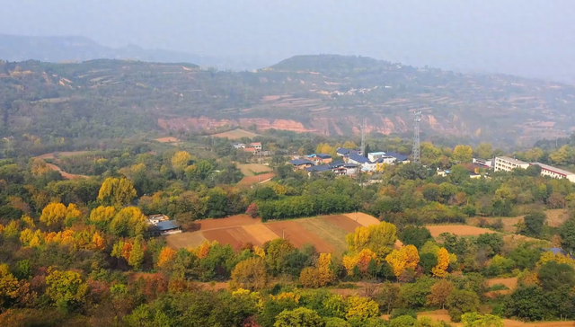 逃离城市！在山野里邂逅最鲜活的色彩盛宴→