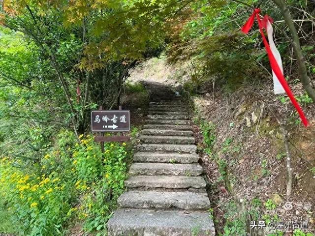 走浙江三县市交界的千年古道,赏亿年奇石美女峰!
