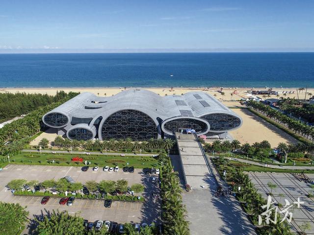 阳江放大招！买车立减5000、吃饭满100减20……快来“薅羊毛”