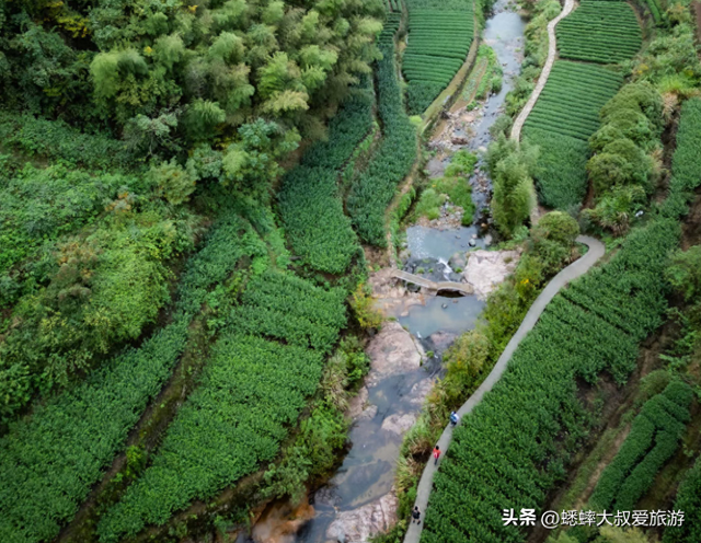 浙江“天花板古道”真棒，一路绿野仙踪，为懒人周末充电地！