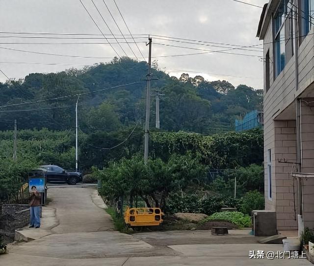 安口里：隐藏在牛郎山与狮子山之间的一片世外“桃花源”