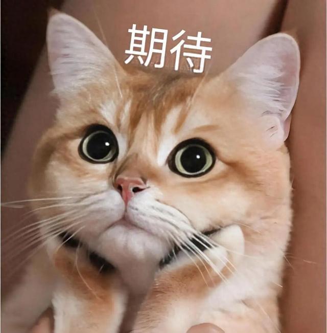 国庆假期南沙将化身欢乐主场，这些地方活动一览→