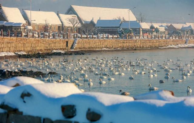 畅游威海·首站荣成 | 全省推广！快启程，住进世界级渔村的童话海草房