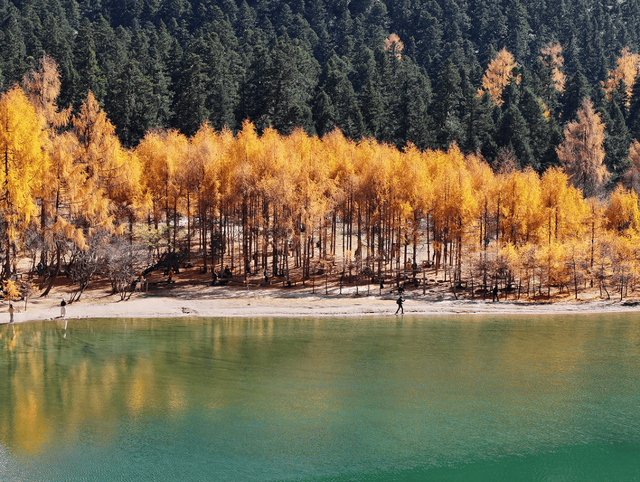 免门票丨毕棚沟献给全国师生们的秋日礼物！
