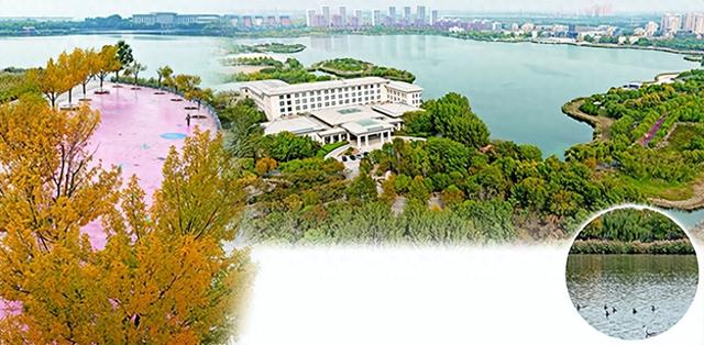 金树映碧水 秋韵满渤龙