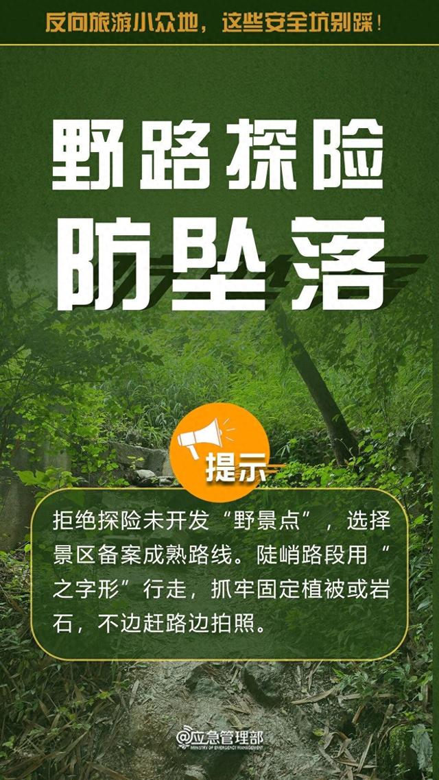反向旅游存在隐患 这些“安全坑”不要踩→