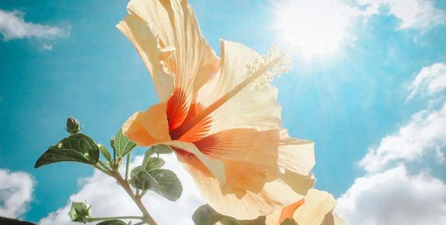 第三名：白羊座，12月14号	，接下来13天，就要喜从天降了！