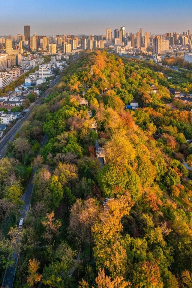 1500多岁！武汉一网红打卡地，升级了