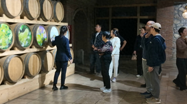 文明旅游 | 宁夏酒庄游升温 文明游览成别样风景