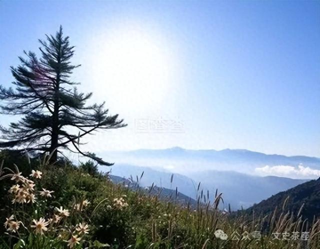 白先勇丨不信青春唤不回