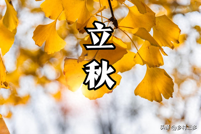 “冷不冷，就看立秋”，今日立秋，今年冬天特别冷吗？看农谚咋说