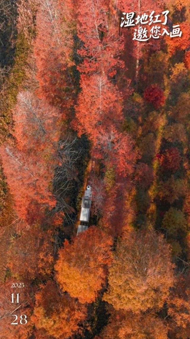 辞家千里又千里，盐城想你很想你