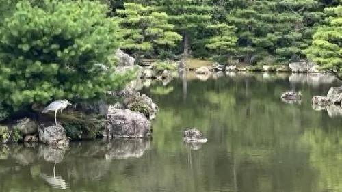 京都最有名的旅游景点是哪里（京都的风与景）