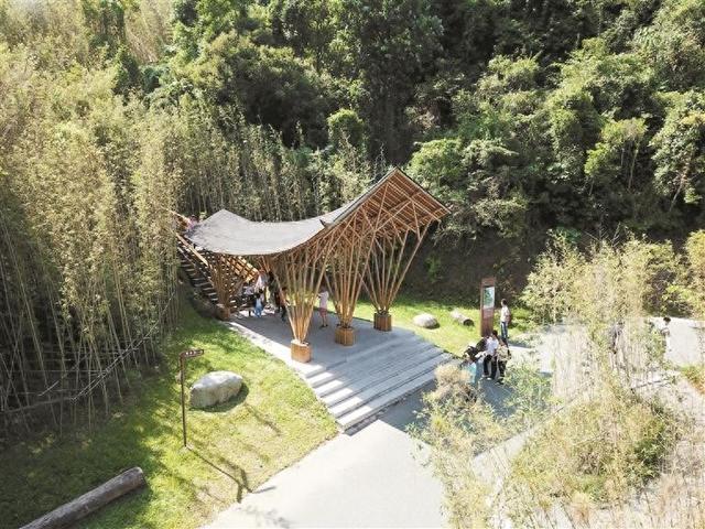 来龙华吧！三条路线解锁新玩法
