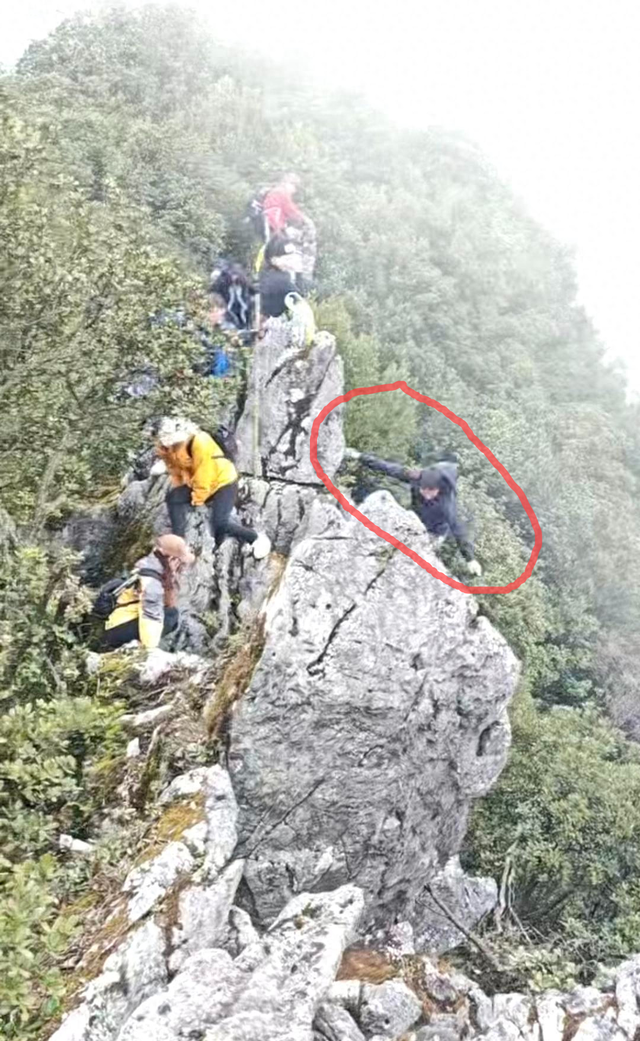 四川一驴友称登山坠崖被大树救命 本人回应：感觉身体要震碎了，希望大家引以为戒