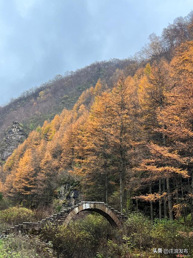 【摄影报道】庄浪：秋雨的关山是一种风骨美