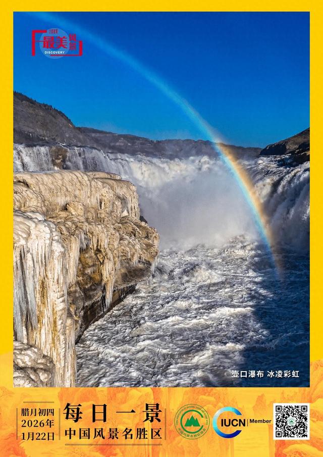 每日一景 | 壶口瀑布 冰凌彩虹
