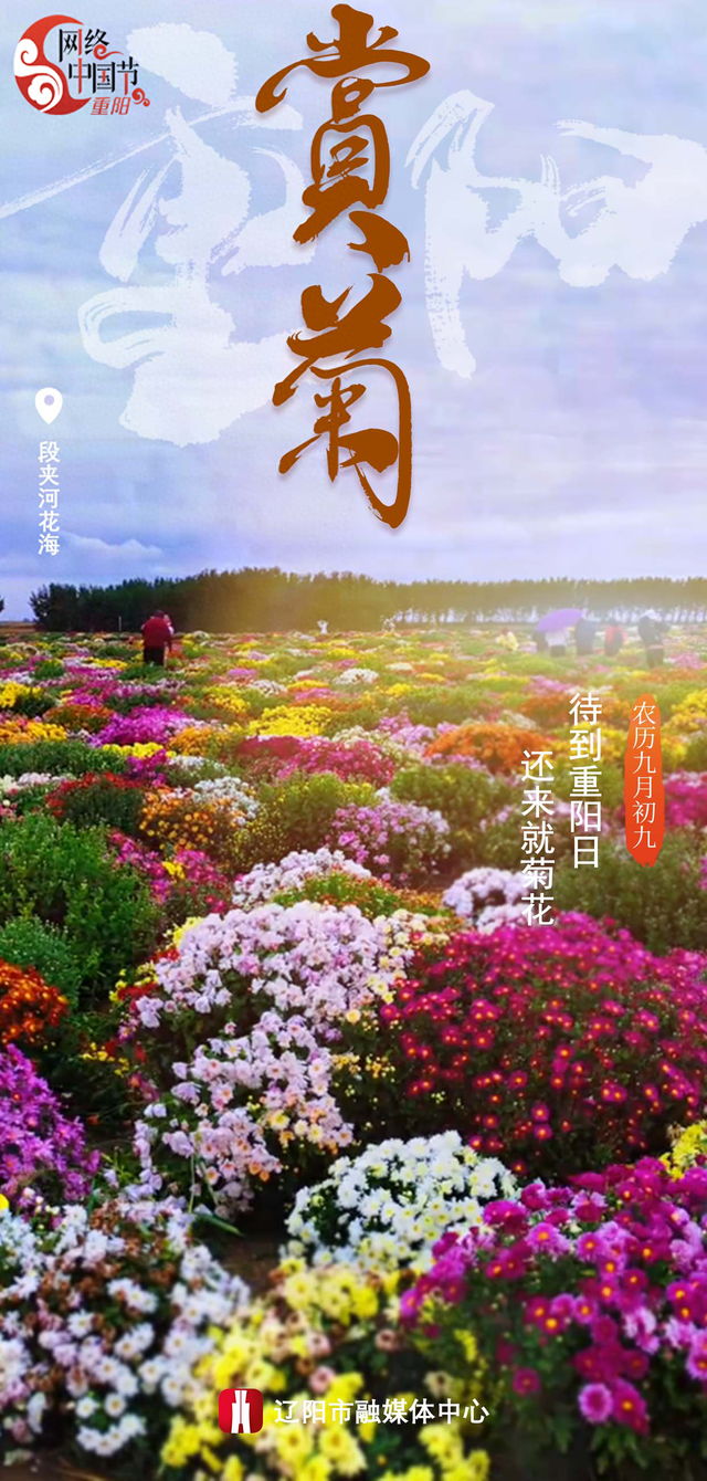 古城逢重阳，岁岁皆安康！