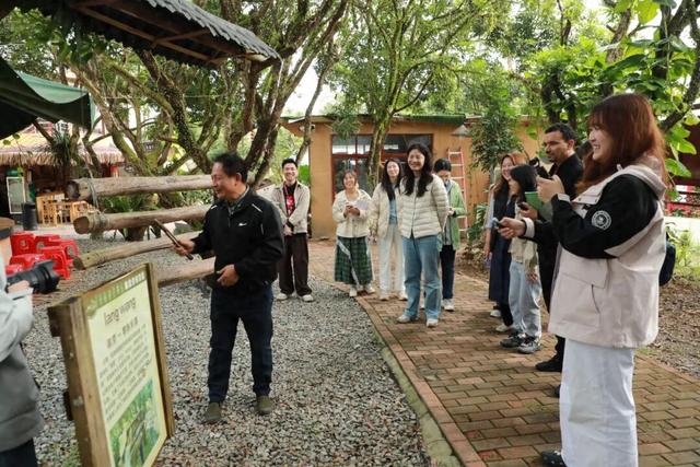 人民网多语种记者走进白沙 感受茶文化与黎族风情魅力