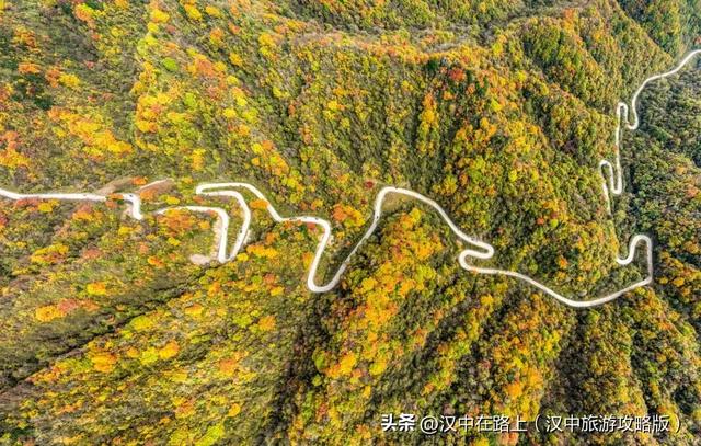 全国十佳!汉中这条公路太火了!