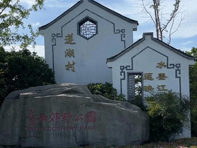 上海“赏荷第一园”走红，风景绝美免费参观！