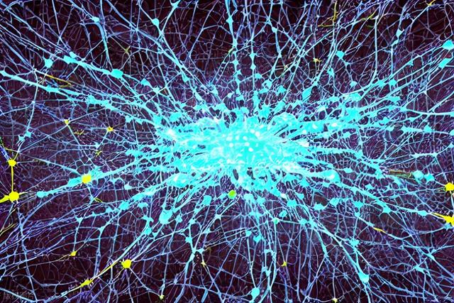 深度学习加速星系演化计算 日本团队实现千亿恒星逐颗模拟