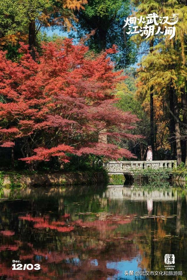 晴晴晴晴晴晴晴晴，东湖彩叶美出新高度！