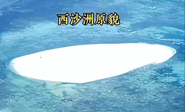 中国在0.22平方公里的荒岛上种下10万棵绿植，产生了三个意外收获