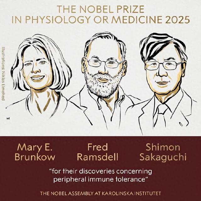 2025年诺贝尔生理学或医学奖出炉！授予三位免疫学家