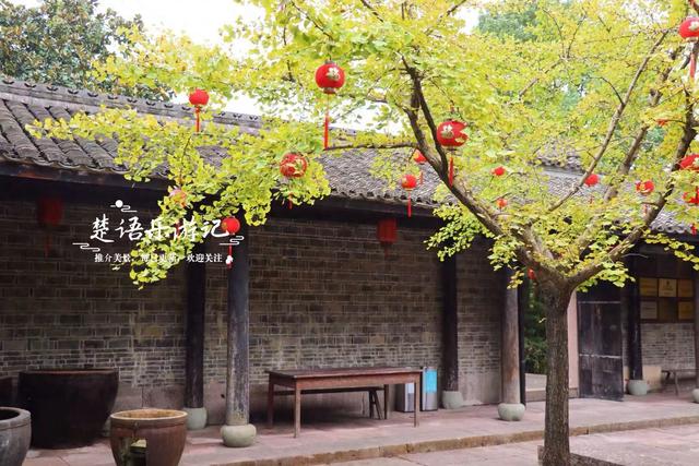 宁波这里的银杏已经变黄了，青砖黛瓦与之映衬，烟雨之中更有诗意