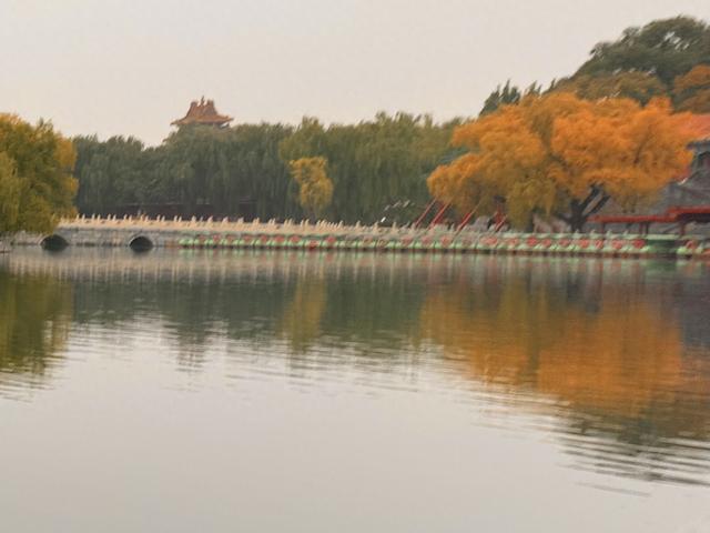 秋日清晨的北京，色彩饱和度拉满！