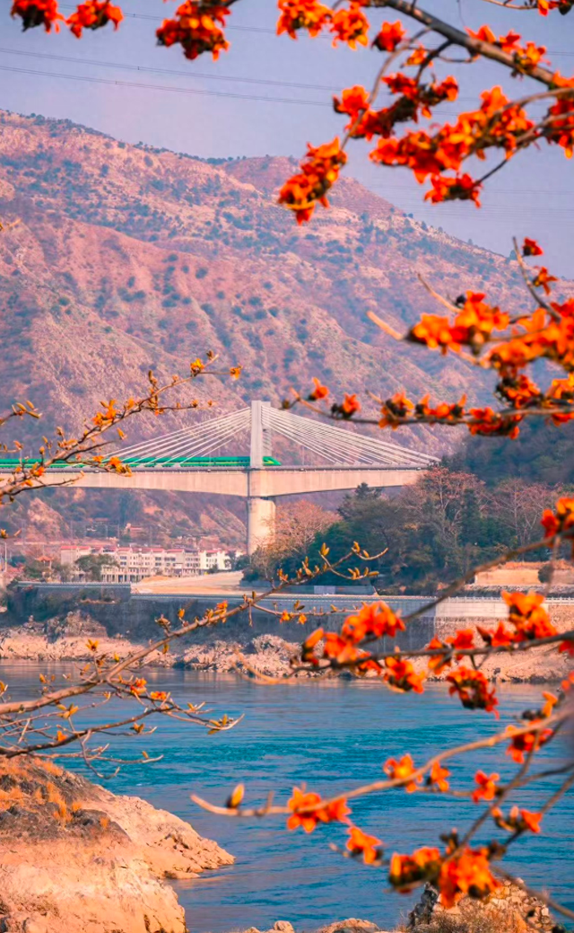 动车直达！来这座以花命名的城市，过个暖冬！